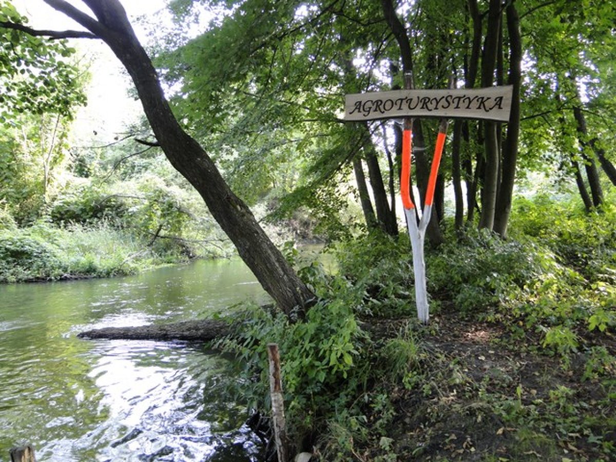 Mazury _ Pole namiotowe nad rzeką Wel * Spływy kajakowe * Noclegi