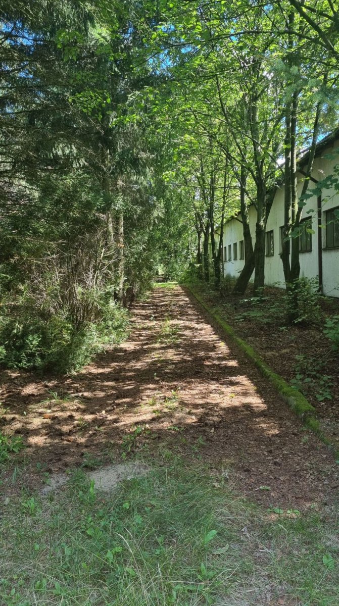 Teren 4,96 ha z halą produkcyjną w pobliżu S7