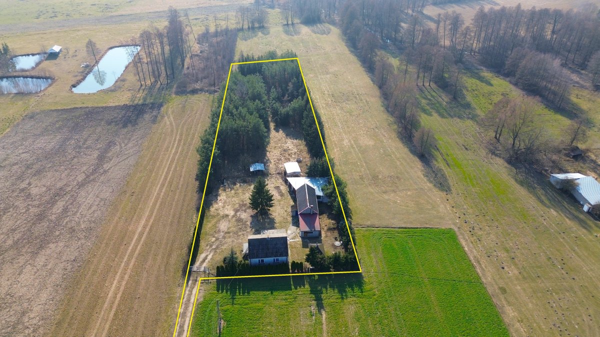 Siedlisko o pow. 0,5496 ha, gm. Strzegowo