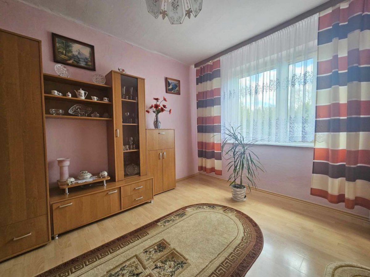 Siedlisko przy lesie / cisza i bliskość z naturą / Lewiczyn