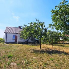 Wiejskie siedlisko, gmina Radzanów!