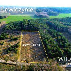 Teren 1,18 ha pod zabudowę jednorodzinną - Lewiczyn