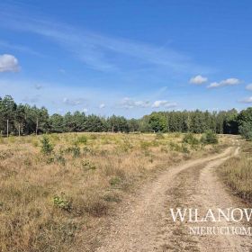 Teren 1,18 ha pod zabudowę jednorodzinną - Lewiczyn