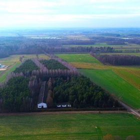 Teren 4,96 ha z halą produkcyjną i budynkiem biurowo-mieszkalnym