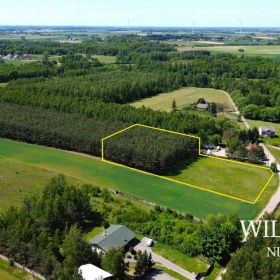 Działka 6400 m2 - Wola Kolonia, gm. Stupsk