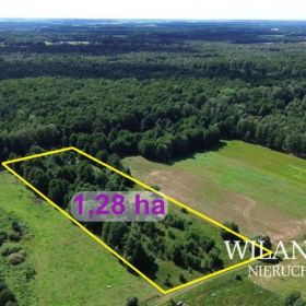 Działki o charakterze rolno-leśnym / 4,88 ha / Mdzewko