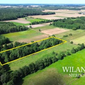 Działki o charakterze rolno-leśnym / 4,88 ha / Mdzewko