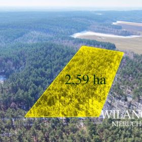 Działka leśna 2,59 ha - Lewiczyn k. Mławy - Dojazd asfaltem!