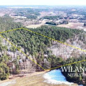 Działka leśna 2,59 ha - Lewiczyn k. Mławy - Dojazd asfaltem!