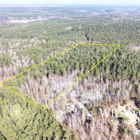 Działka leśna 2,59 ha - Lewiczyn k. Mławy - Dojazd asfaltem!