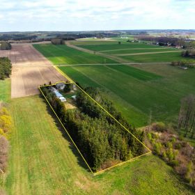 Siedlisko, budynki mieszkalne + gospodarcze + działka z lasem 5496 m2 