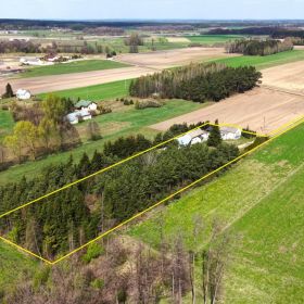 Siedlisko, budynki mieszkalne + gospodarcze + działka z lasem 5496 m2 