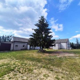 Siedlisko, budynki mieszkalne + gospodarcze + działka z lasem 5496 m2 