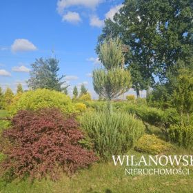 Siedlisko 5539 m²/ spokój, przestrzeń, możliwości/ Przychód gm.Szreńsk